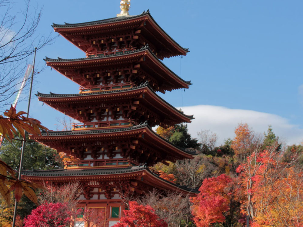 天橋立蜿蜒美景盡納眼底的海濱旅館 環日遊攻略